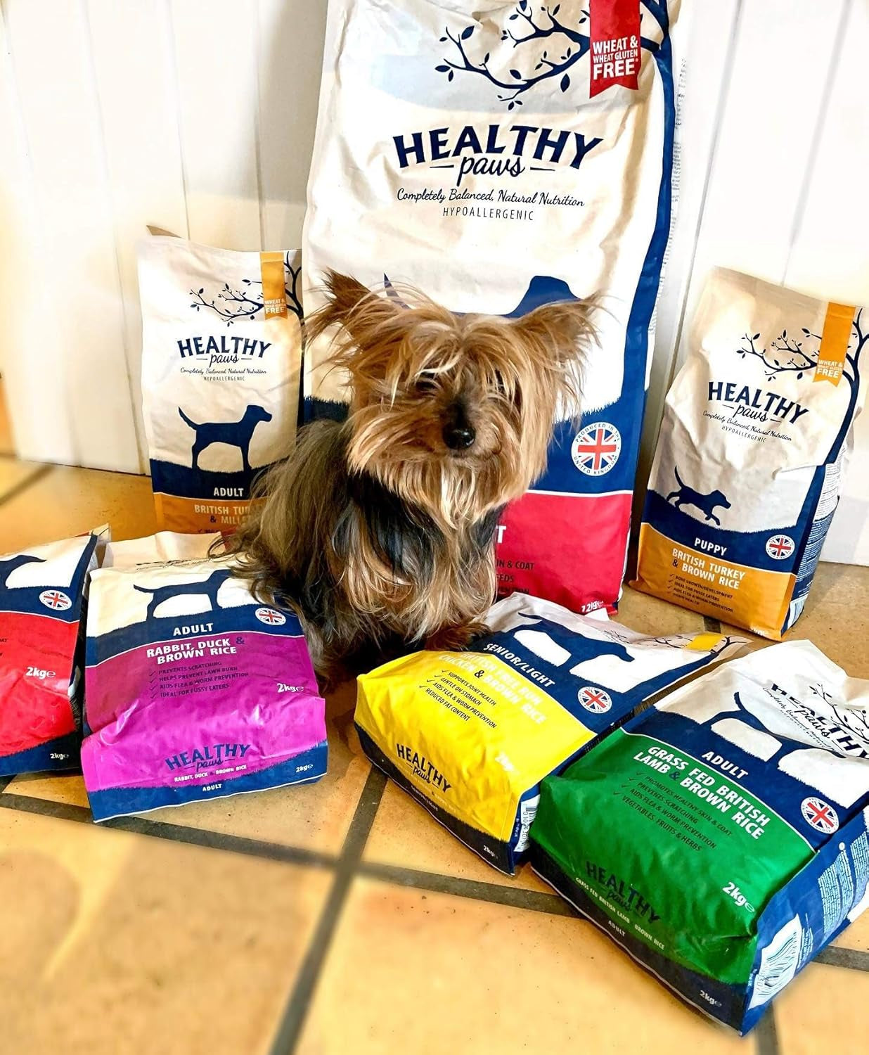 Premium Dry Dog Food Hypoallergenic Healthy Gluten Free Digestible Natural Turkey and Millet Complete Nutrition for Adult Breeds - 2Kgs