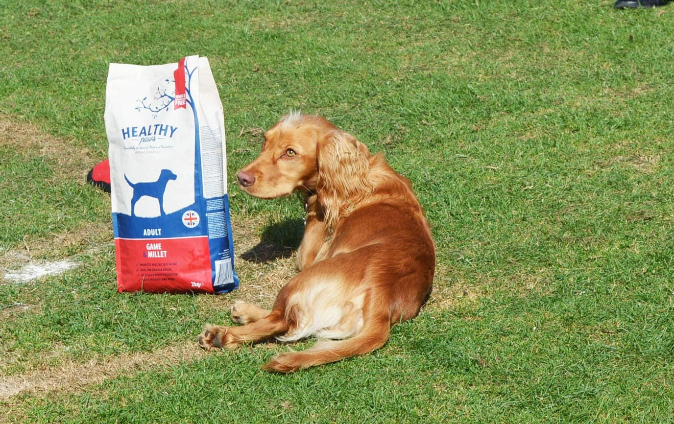 Premium Dry Dog Food Hypoallergenic Healthy Gluten Free Natural Ingredients Game & Millet Complete Nutrition for Adult Small Breeds - 2Kg