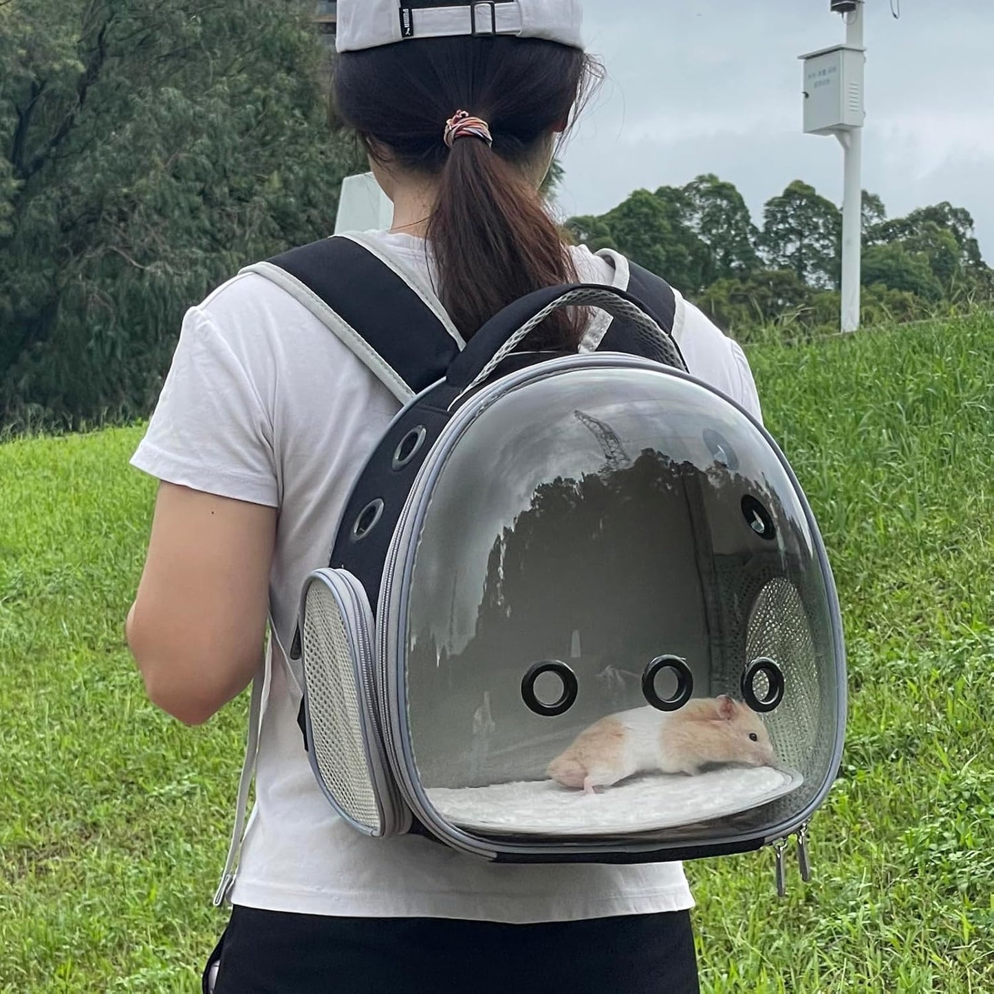 Portable Travel Pet Backpack Carrier Hamster Bag Guinea Pig Bird Small Dog Cat Turtle Carrier Rabbit Cage Squirrel Bearded Dragon Breathable Hangbag (Black)