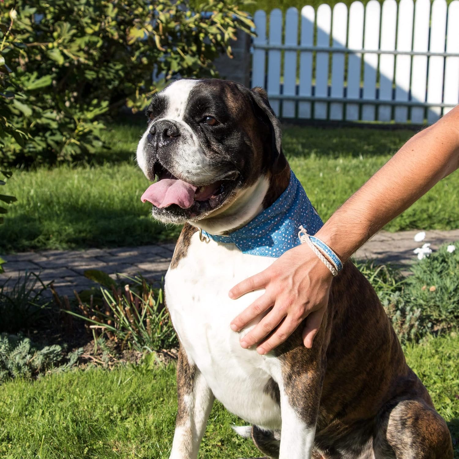Dog Collar Bandana with Matching Bracelet, Adjustable for Small, Medium & Large Dogs, Durable Hemp, Soft & Stylish Design, S, Blue