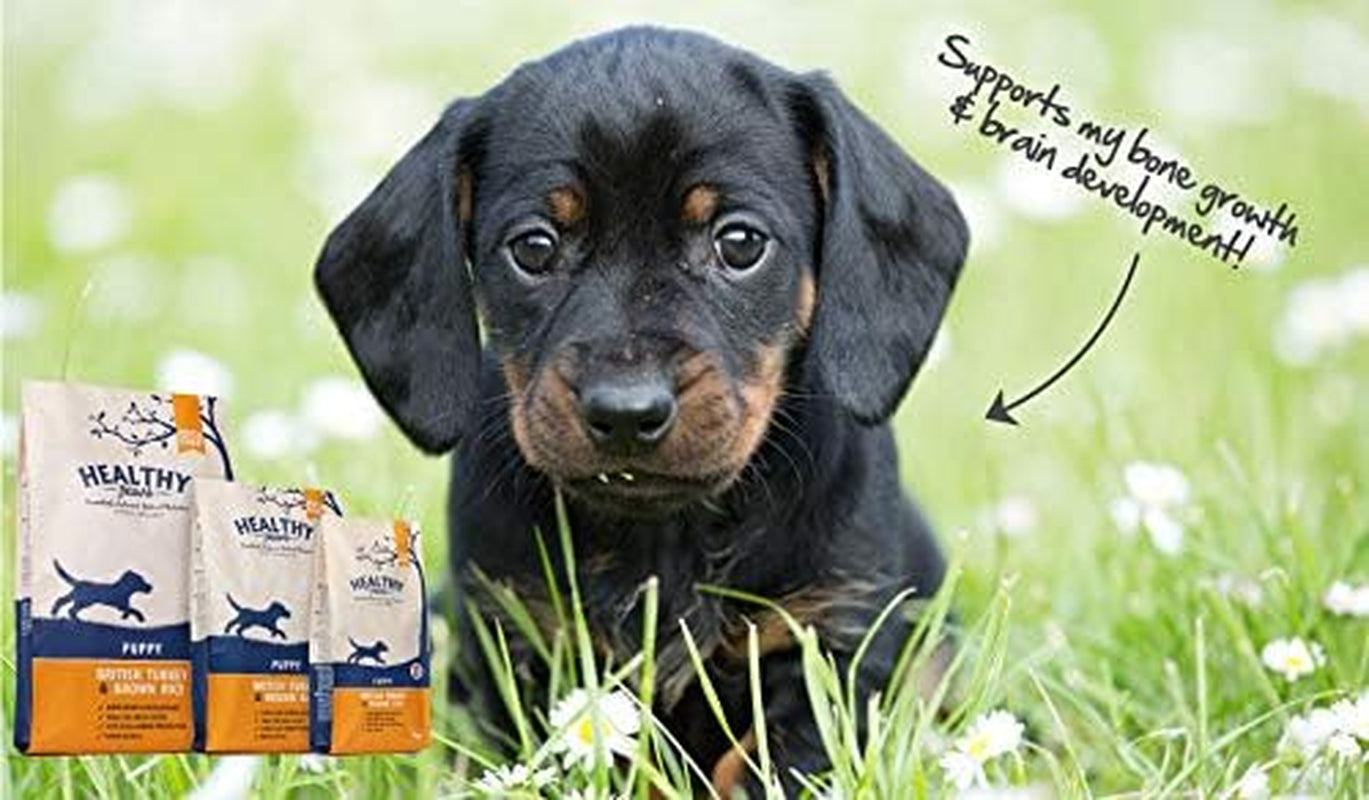 Premium Dry Dog Food Hypoallergenic Healthy Gluten Free Digestible Natural Turkey & Brown Rice Complete Pet Nutrition for Puppies - 2Kgs