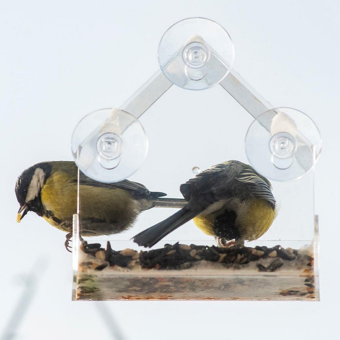 Window Bird Feeder Wild Hanging Feeding Table Clear Perspex with Suction Cup 2PC