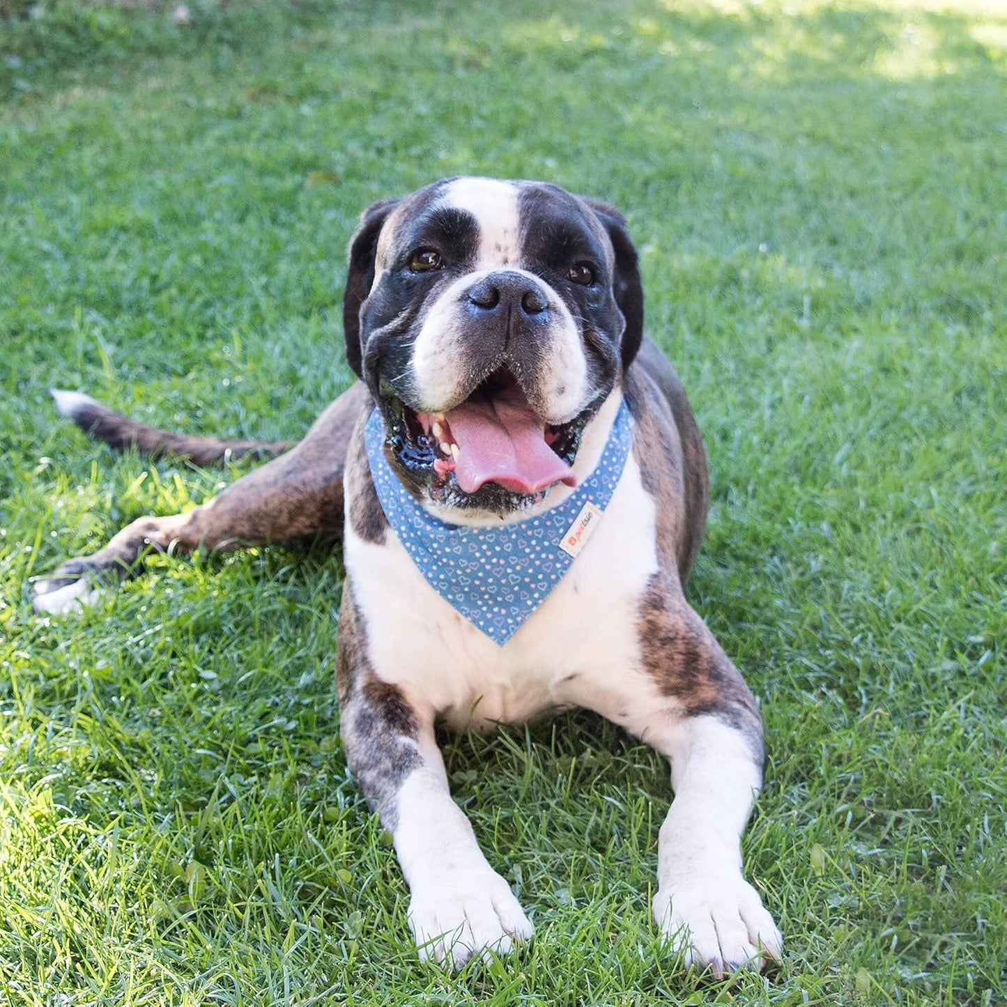Dog Collar Bandana with Matching Bracelet, Adjustable for Small, Medium & Large Dogs, Durable Hemp, Soft & Stylish Design, S, Blue