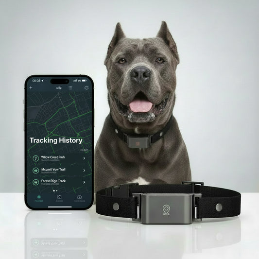 Pet Tracker Mini GPS Collar with Waterproof Anti-Lost Pet Real Time Tracking Locator 4G GPS Tracker