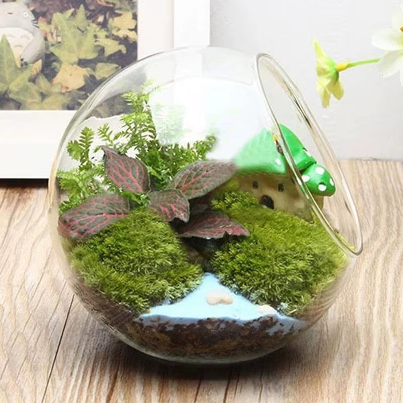 Fish Bowl Vase round Fish Bowl Flowerpot Plant Flowerpot Vase Air Plant Container Glass Home Decoration Display Centerpiece For