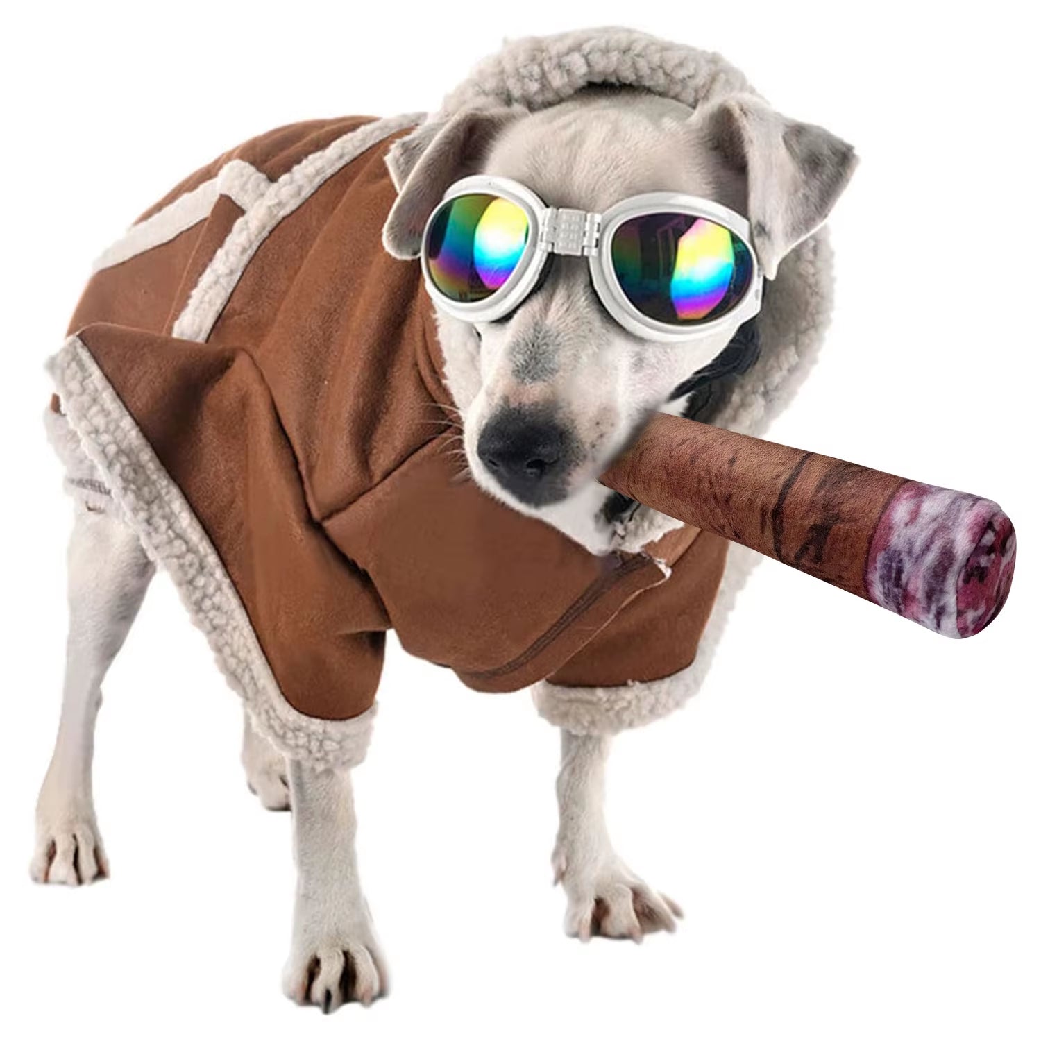 Funny Dog Toy with Interactive Squeaky Sound and Plush Cotton Filled Softness for Small, Medium, and Large Puppies and Dogs