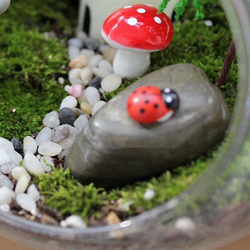 Fish Bowl Vase round Fish Bowl Flowerpot Plant Flowerpot Vase Air Plant Container Glass Home Decoration Display Centerpiece For