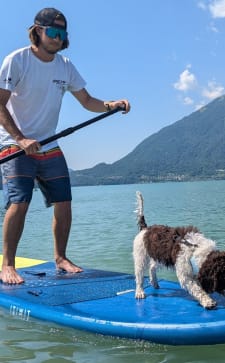 Tractive - No. 1 GPS Tracker for Cats and Dogs - Worldwide