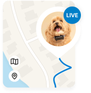 Tractive - No. 1 GPS Tracker for Cats and Dogs - Worldwide