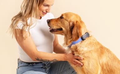 Tractive - No. 1 GPS Tracker for Cats and Dogs - Worldwide