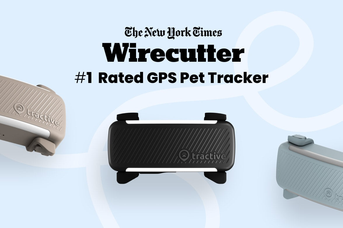 Tractive - No. 1 GPS Tracker for Cats and Dogs - Worldwide