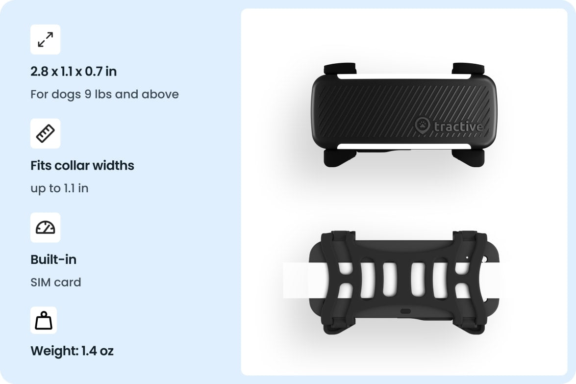 Tractive - No. 1 GPS Tracker for Cats and Dogs - Worldwide