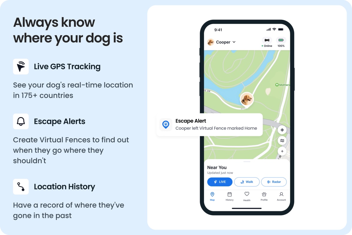 Tractive - No. 1 GPS Tracker for Cats and Dogs - Worldwide