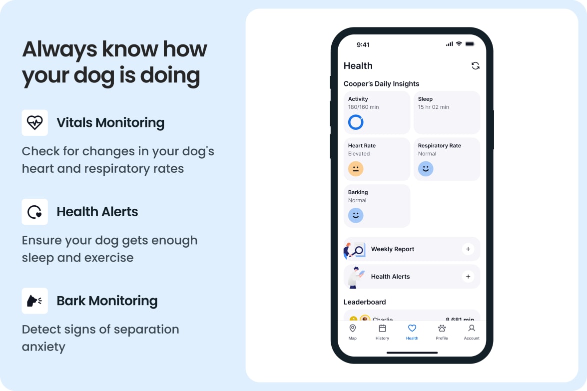 Tractive - No. 1 GPS Tracker for Cats and Dogs - Worldwide